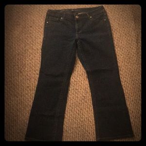 Dark denim by Lane Bryant 💗